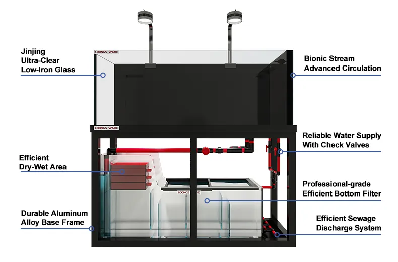 Bottom filter system overview of freshwater aquarium tank