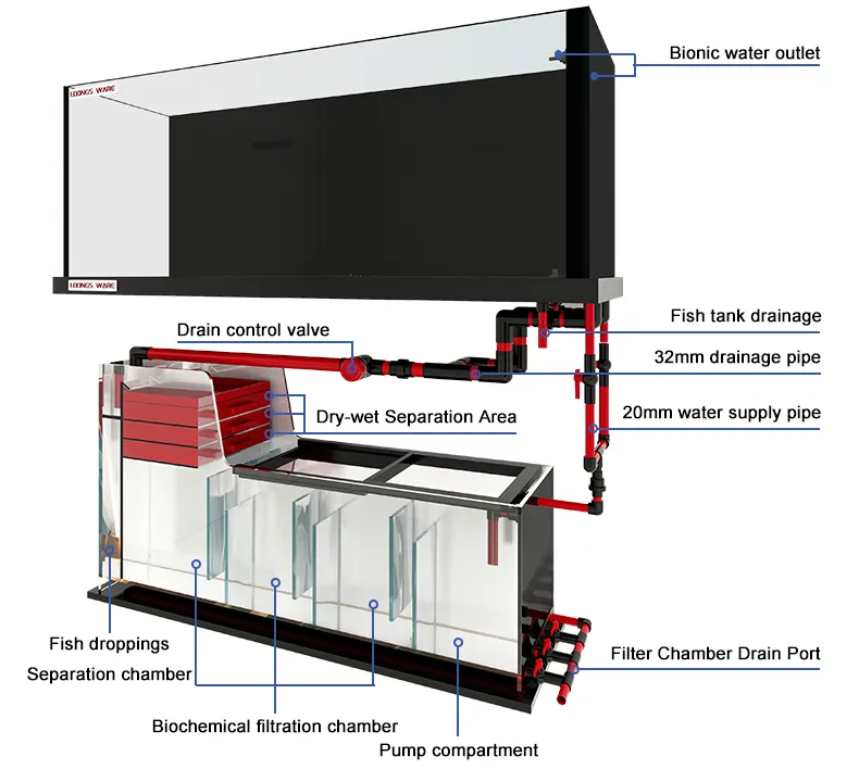 Aquarium sump design for bottom filter system