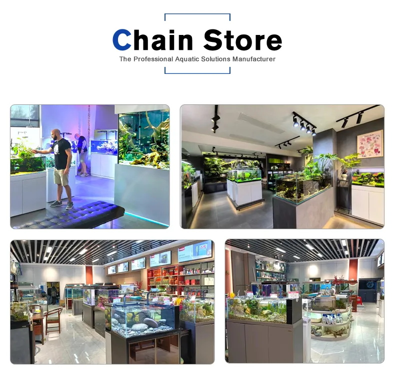 Collaboration with international aquarium partner store