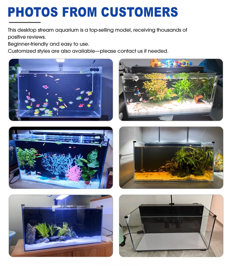 LOONGS WARE desktop back filter aquarium tank collection with multiple sizes and styles