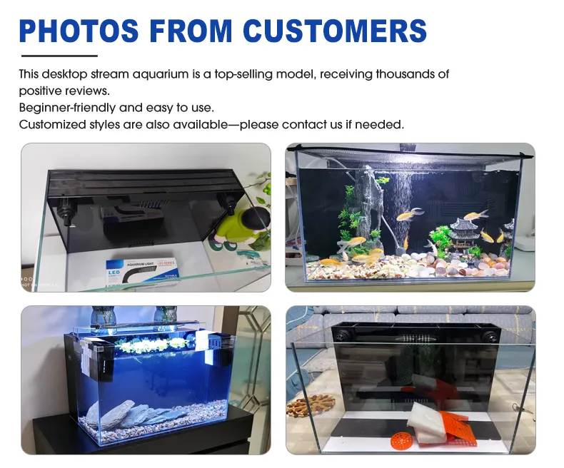 LOONGS WARE desktop dual back filter aquarium tank collection with multiple sizes and models