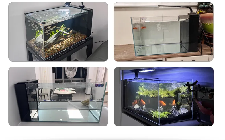 LOONGS WARE desktop side filter aquarium tank collection with multiple sizes and styles