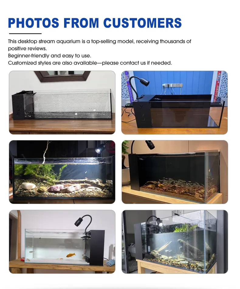 LOONGS WARE South American style desktop side filter aquarium tank collection with multiple models