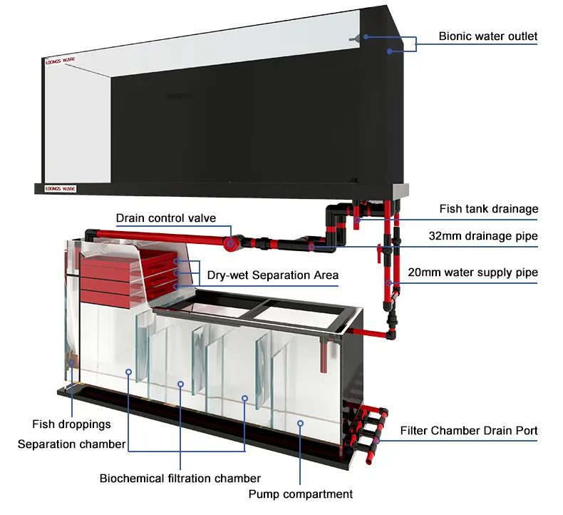 LOONGS WARE stream aquarium tank product detail overview with standard overflow design