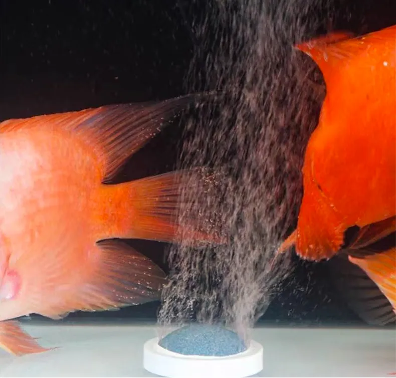 LOONGS WARE vertical aquarium tank with built-in oxygenation system