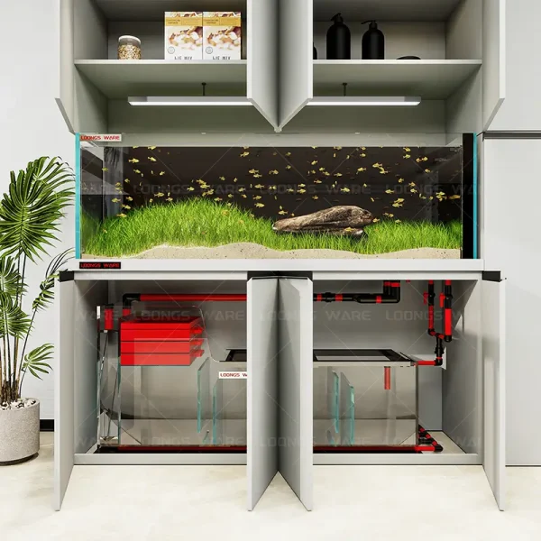 Embedded aquarium screen partition 04