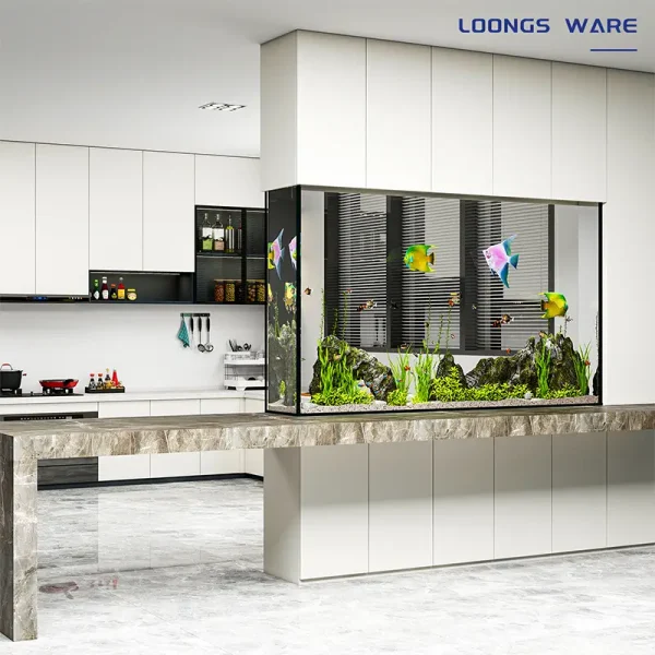Embedded aquarium screen partition 05