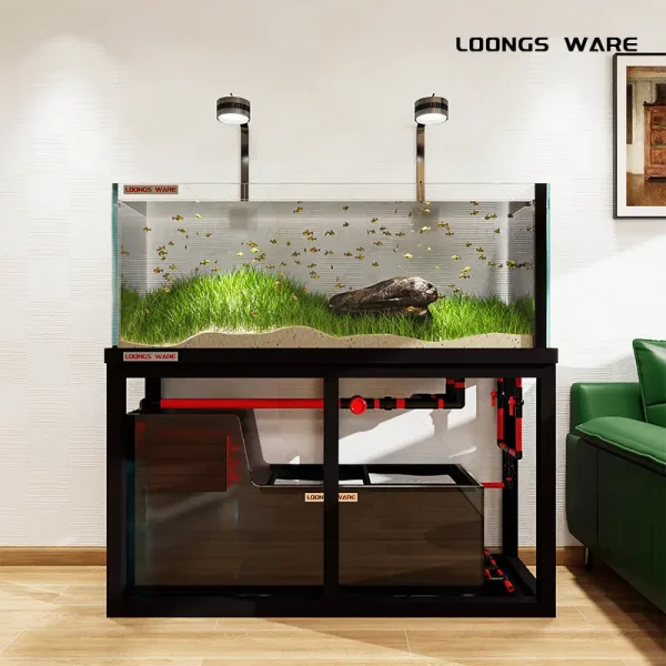 Black aquarium 04