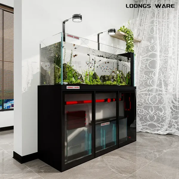 Minimalist black aquarium