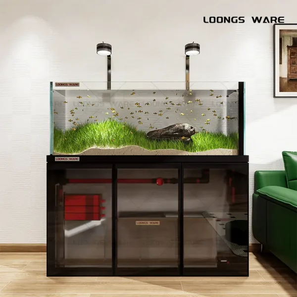 Black aquarium