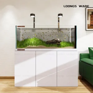 White aquarium