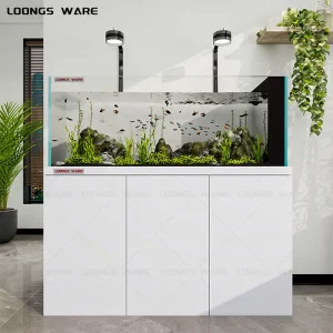 Stream aquarium