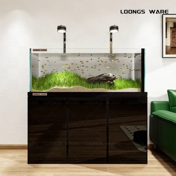 Black aquarium 02