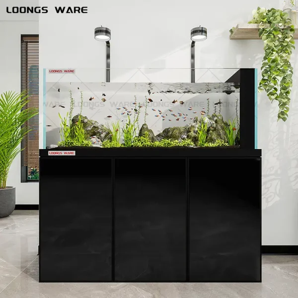 Black aquarium