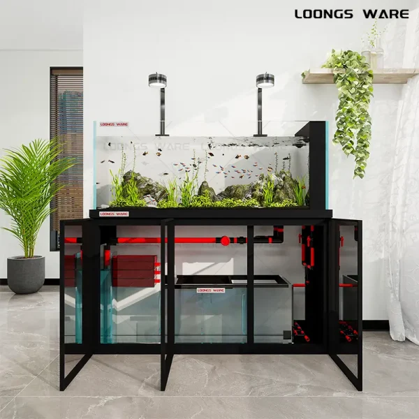 Minimalist aquarium