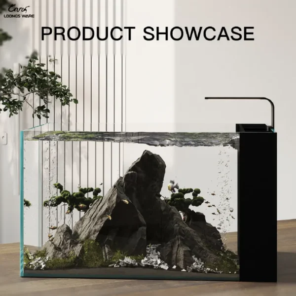 R-DMC side filter aquarium desktop showcase with aquascaping and fish