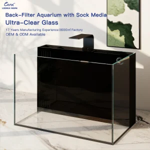 LOONGS WARE JR-DMB series desktop aquarium tank with rear filtration system front view