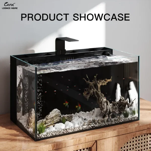 LOONGS WARE JR-SMB aquarium desktop placement showcase